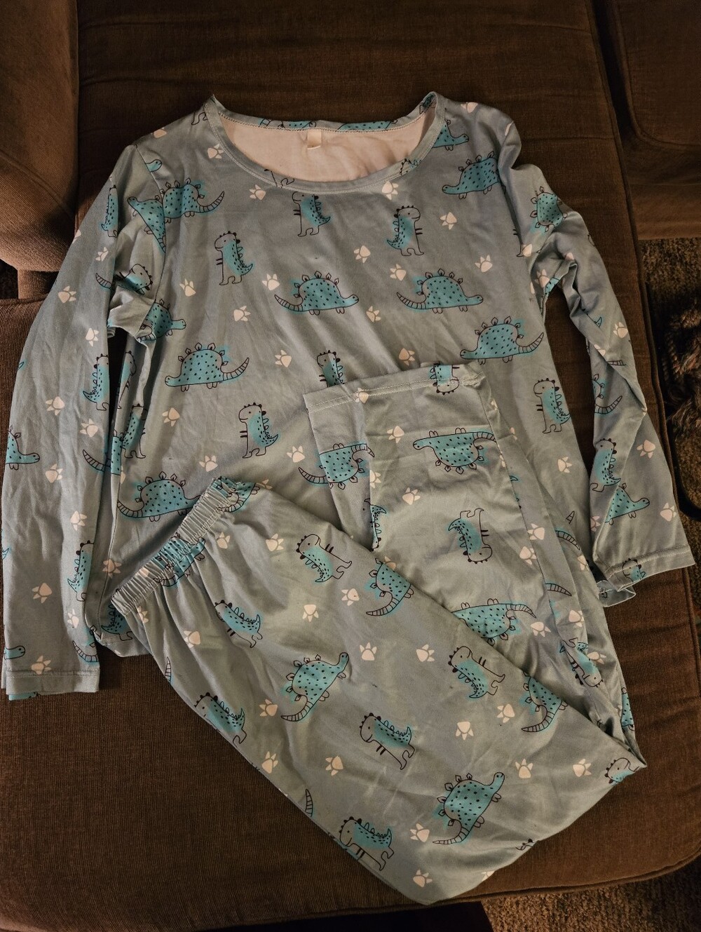 This Colorful Dinosaur Print Pajama Lounge 2-piece Set In Size Large L